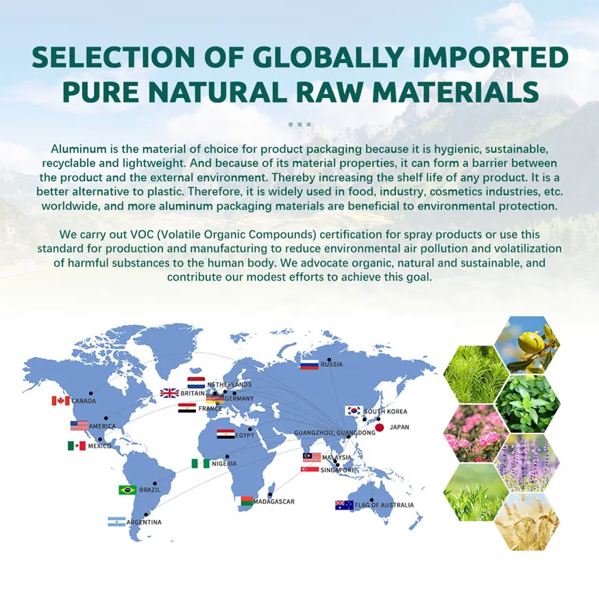 Custom Aluminium Iron Can Aerosol Hairspray Printing & Labeling Strong Hold Spray For Hair Extra Styling Fast Dry Holding Spray