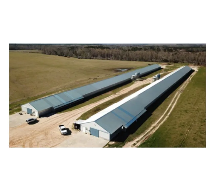 Factory prefabricated steel structure building workshop/ warehouse/ hangar/ hall/ garage