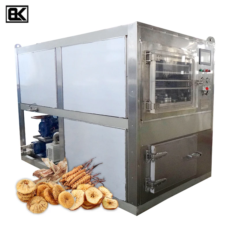 Cheap Factory Price intelligent control complete specifications home use small fruit drying machine freeze dryer