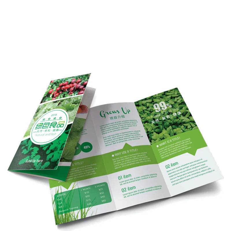 Brochure Printing Flyer Pamphlet Holder Leaflet Service A5 Courier Pamphlets Design Digital hang tags Leaflets Printer Flyers