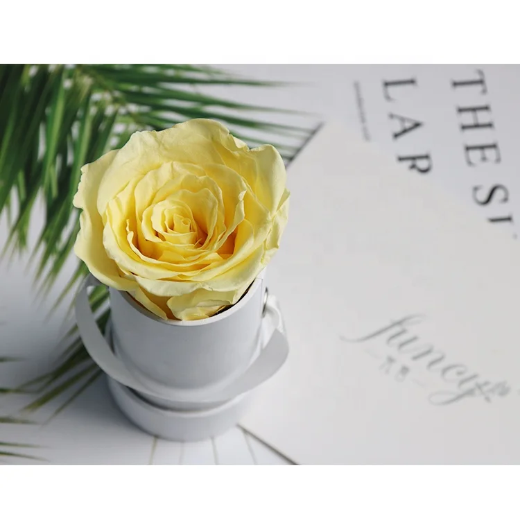 
Valentine Wholesale Luxury Gift Immortal Long Lasting Forever Eternal Rose Flower Box Everlasting Stabilized Preserved Roses 
