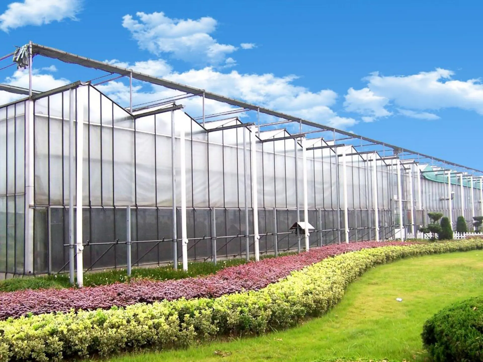 Agricultural Greenhouses And Agriculture Equipment
