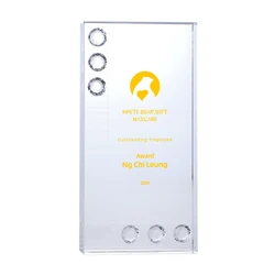 Green Glass Square Shape Trophy Award Customise Glass Award Trophy For Business Gift