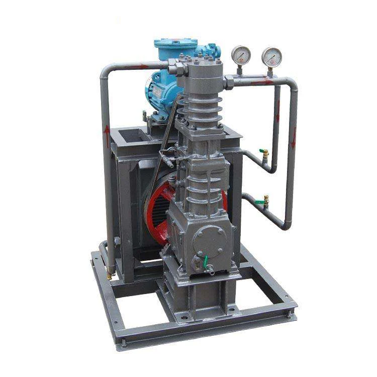 High Quality Custom Petroleum Compressor LPG Compressor for Natural Gas in Russia
