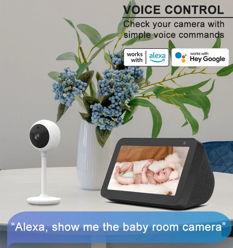 indoor alexa