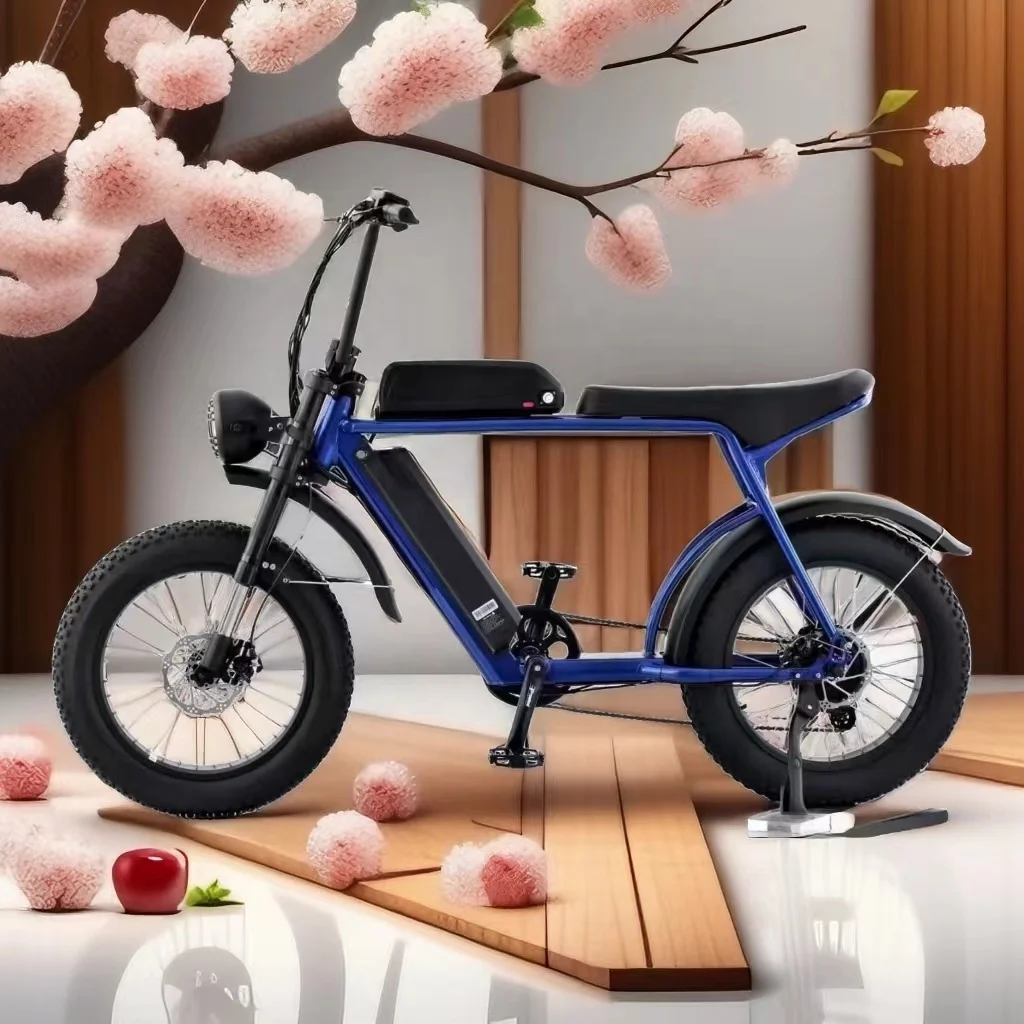 WT20 40Ah dual battery high power high quality 20 inch snow fat tire 500W-1000W off-road electric bike