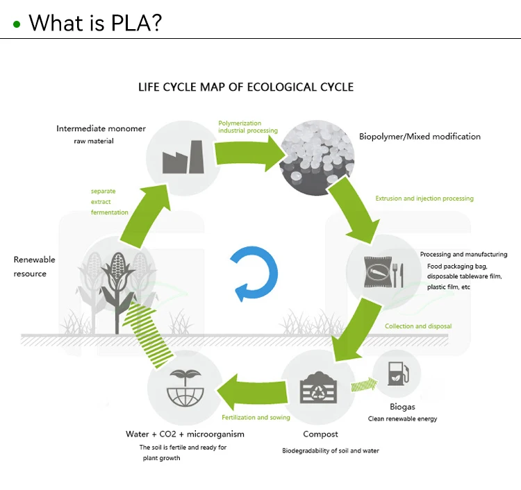 Wholesale Bulk Polylactic Acid Resin Plastic Raw Materials PLA granules price