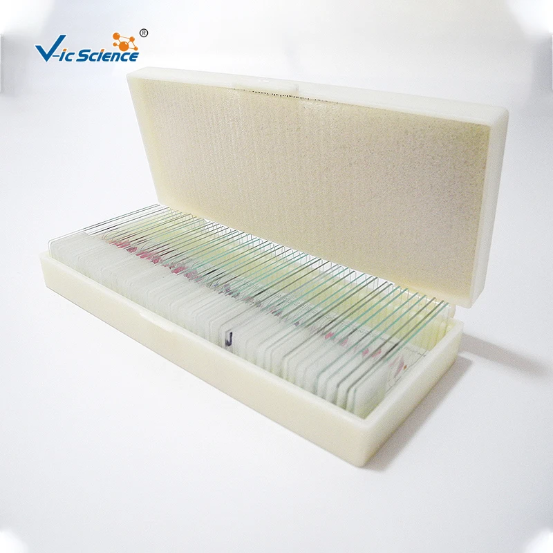 Medical Science Parasite Microscope Slide Parasite Prepared Parasitology 42 Kinds Slide Biological Teaching Slides