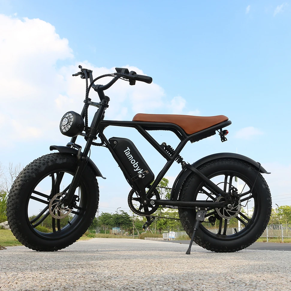 Electric Bike 200 Km Range Eu Us Warehouse Dropshipping Fat Tyre Bike Cycle E Bicycle Motor Moped Electric Bike Battery 48 V