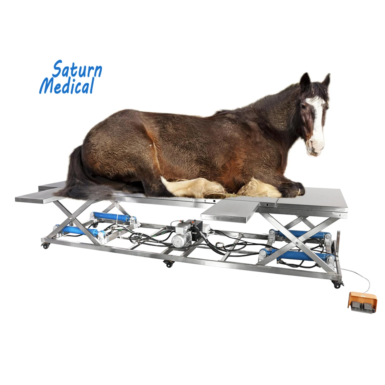 304 Электрический гидравлический ветеринарный стол из нержавеющей стали для крупного быка