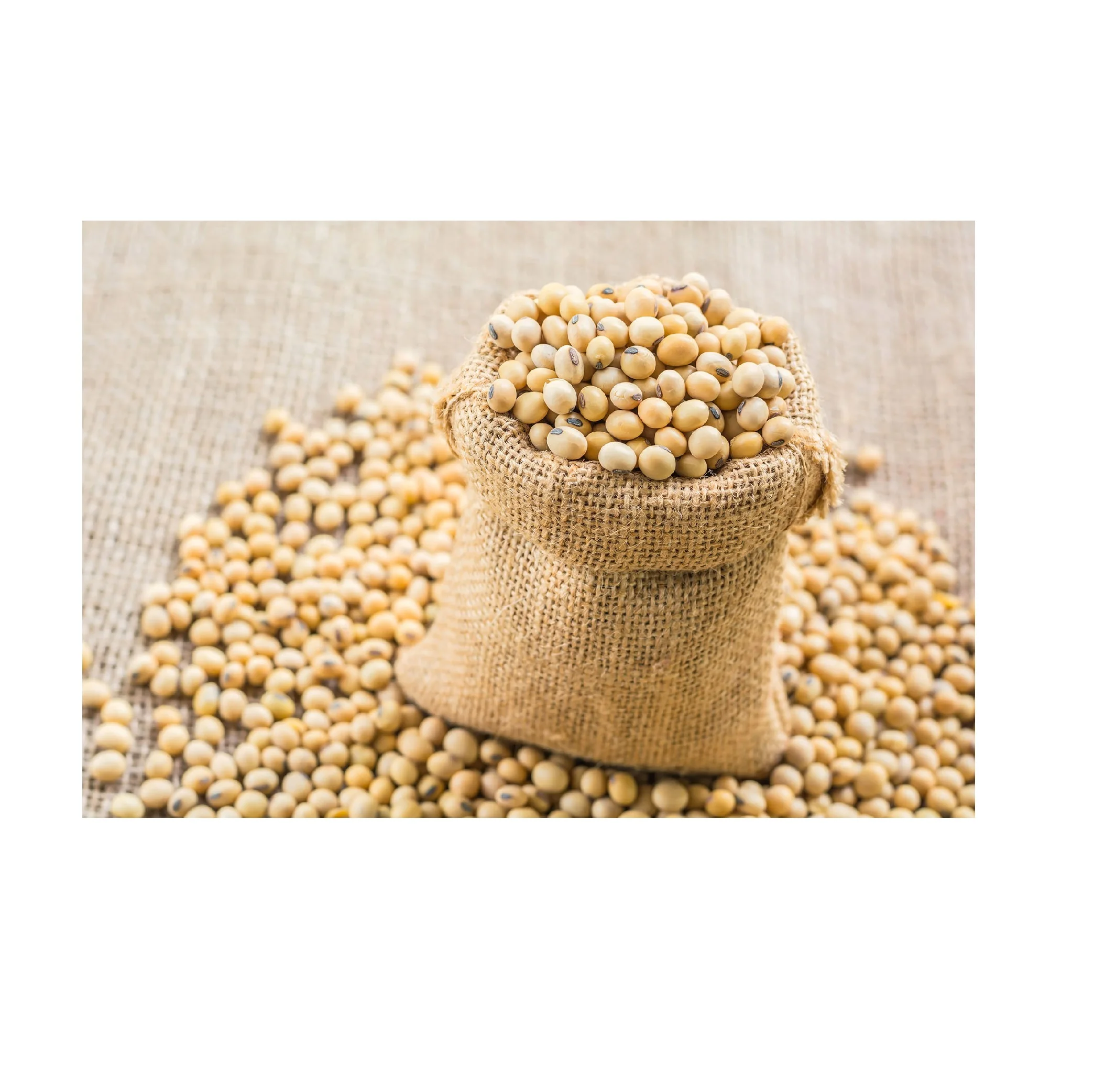 Wholesale Quality High Grade Non Gmo Organic Yellow Soybeans Delicious Soybeans Sale by Bulk Supplier