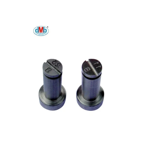 
Moldburger factory custom Screw Type Die Casting date stamp 