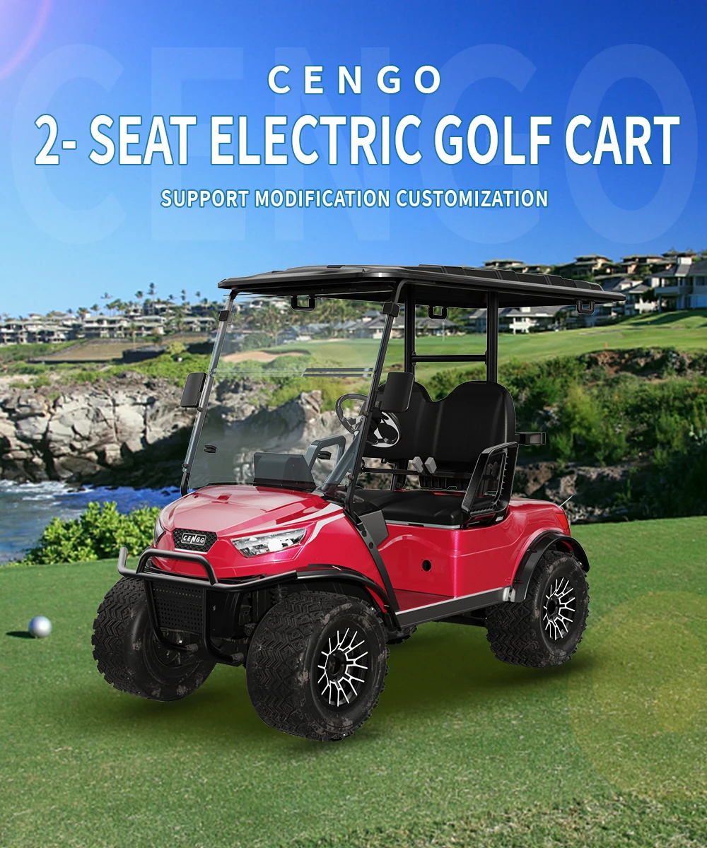 Cengo NL-JA2.G CLUB CAR 2 seater Passenger Golf Car Electric Golf Cart with 4KW Motor for Sightseeing