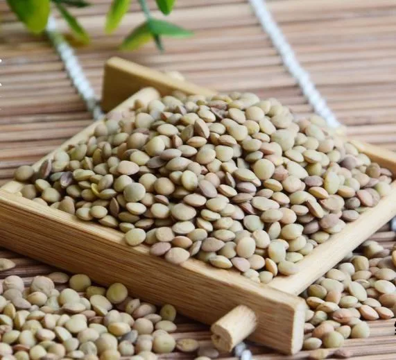 
Natural growth Chinese lentils 15% moisture bulk dried lentils 
