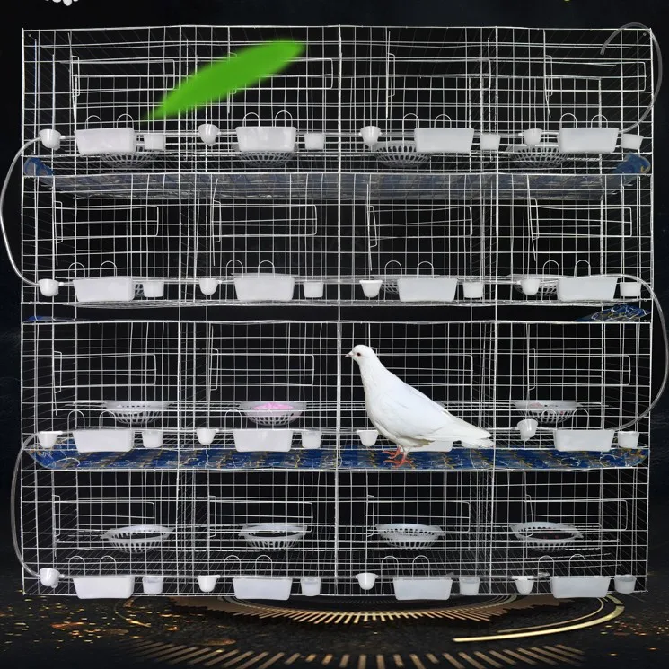 chicken cage design pigeon coops pigeon breeding cage