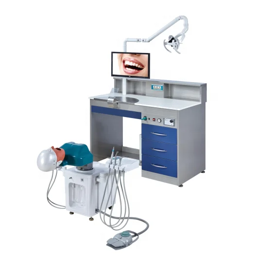 Sunlight Dental Training System Unit Dental Phantom Head Simulator For Medical School Use