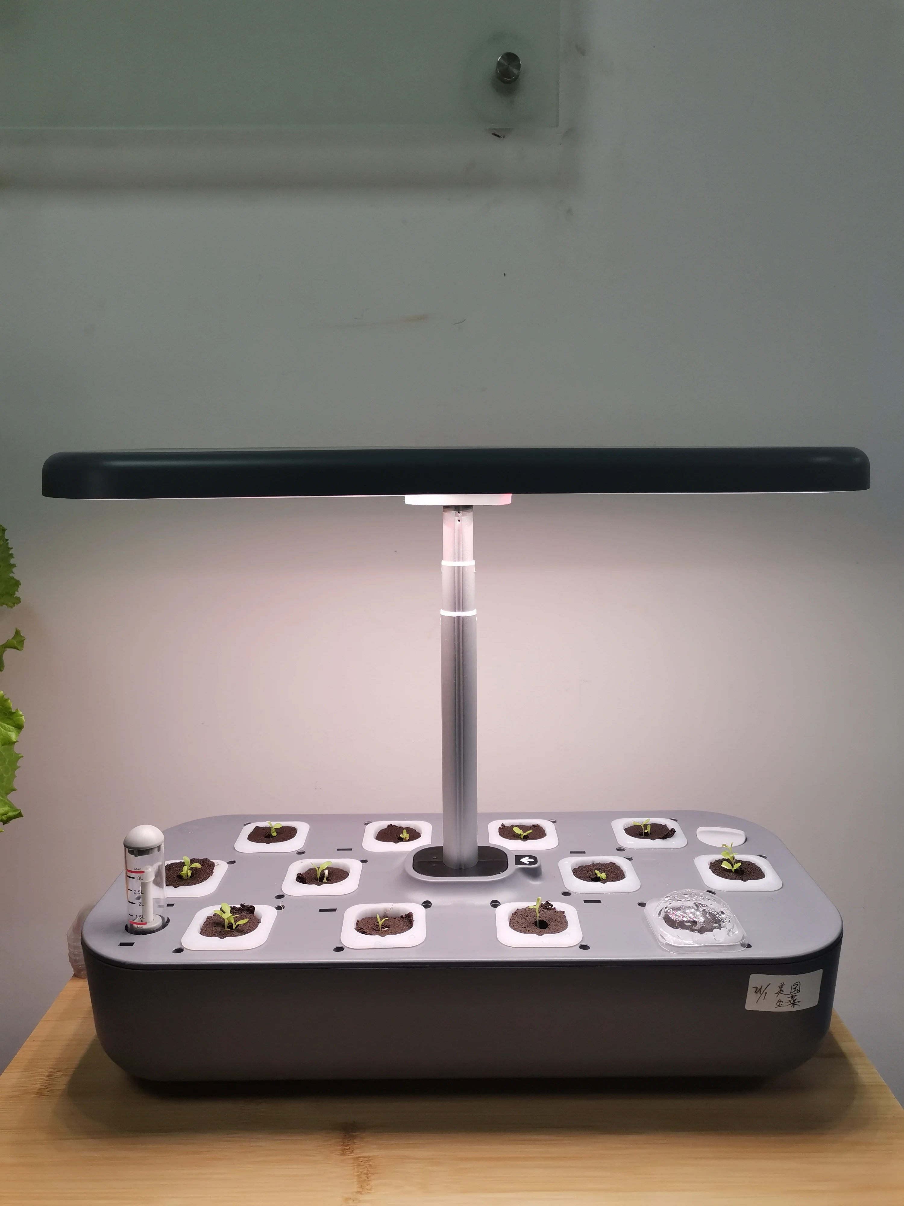 Factory 12 Plants IGS-20 Indoor Hydroponic Grow Kit Smart Kitchen Garden Kit