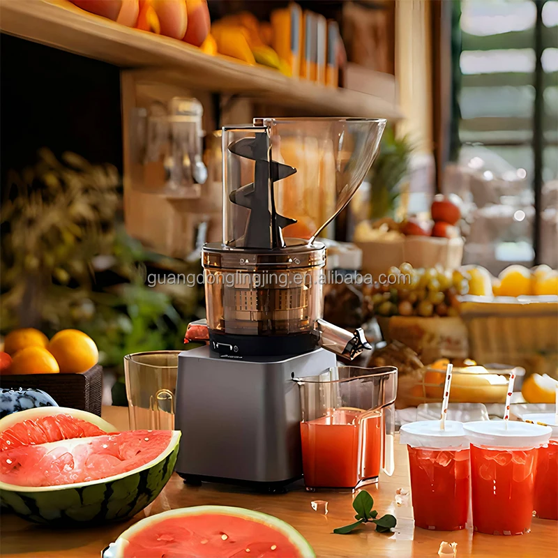 500W Citrus Orange Lemon Juice Extractor Squeezer Cold Press Slow Commercial Juicer Extractor Machine For Juice Bar Cafe