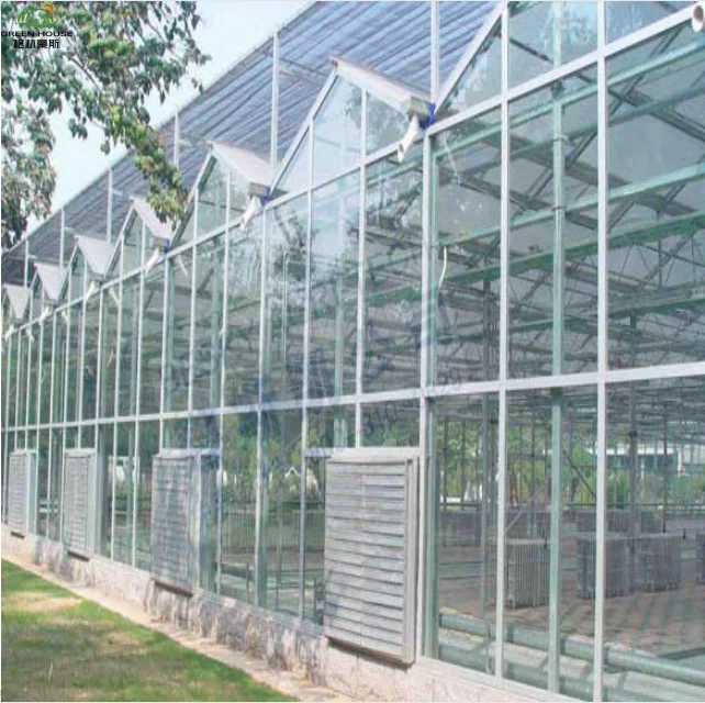 Оцинкованная стальная рама, система гидропонного выращивания, стеклянная Коммерческая теплица высокого качества для овощей и фруктов