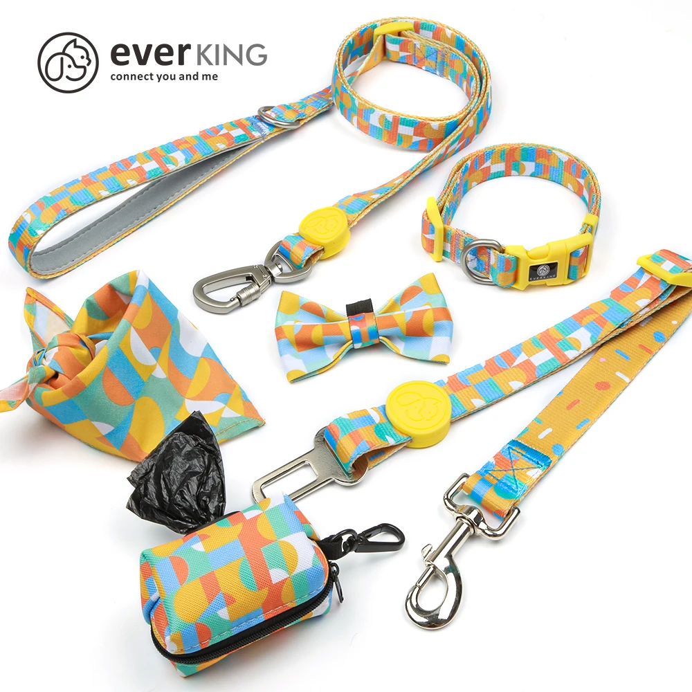 China factory dog leads and collars set in 6 pcs for pet custom available new dog inventions