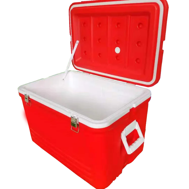 
New Insulin Portable Refrigerated Camping Medical And Fresh-keeping Storage Cooler Box 