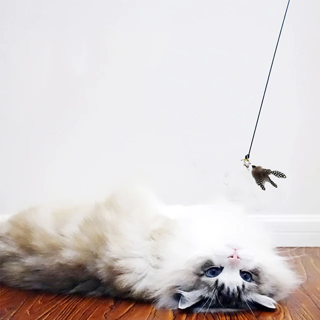 Умная черная стальная проволока, объемное гусиное перо, забавная палка для кошек, удочка, игрушка для кошек, комбинированная игрушка для кошек с перьями