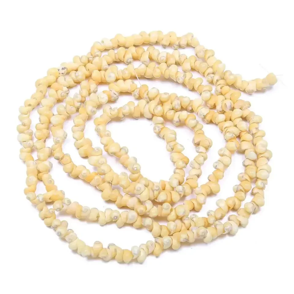 Natural White Coral Bone Small Conch Shape Craft Shell Jewelry DIY Bracelets Necklaces 6x9MM-7X10MM Home Fish   Landscaping