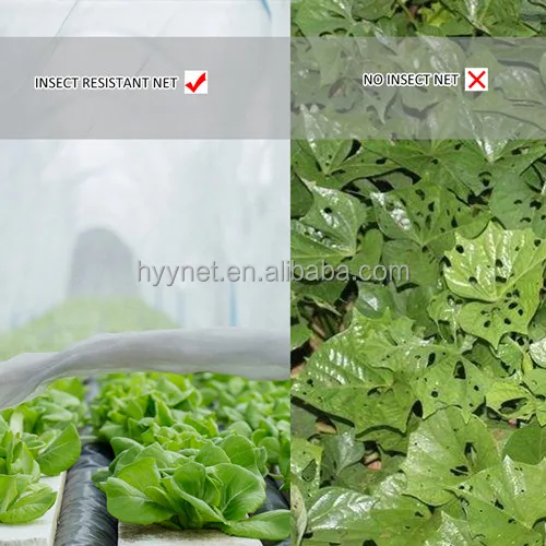 China Factory Supply Hdpe Plastic Transparent greenhouse Protection Agricultural Anti Insect Proof Net
