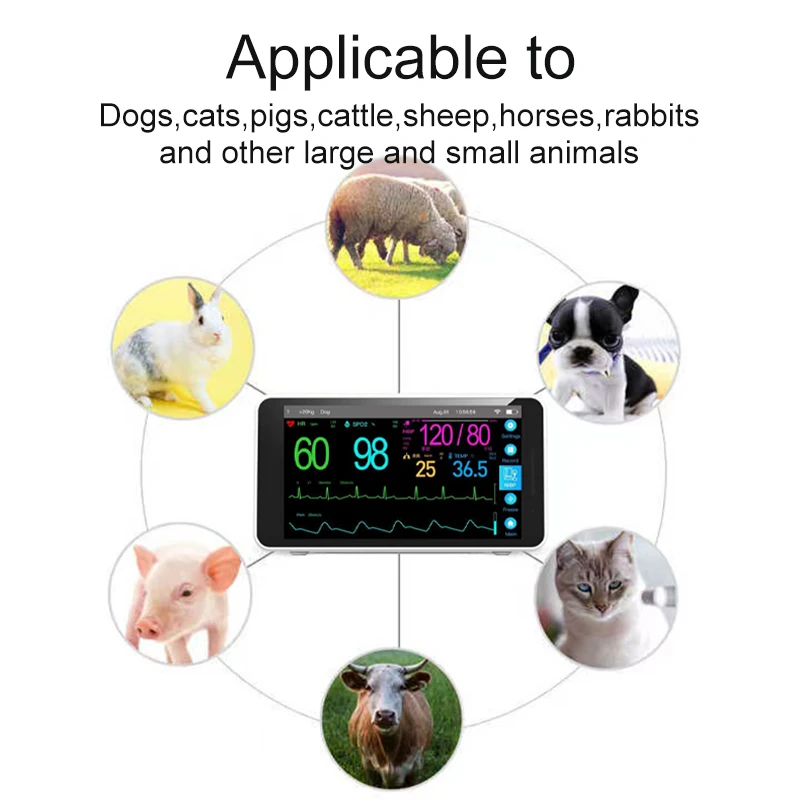 Professional Vet Monitor SpO2 blood pressure pulse rate blue tooth portable animal monitoring blood pressure Veterinary pet