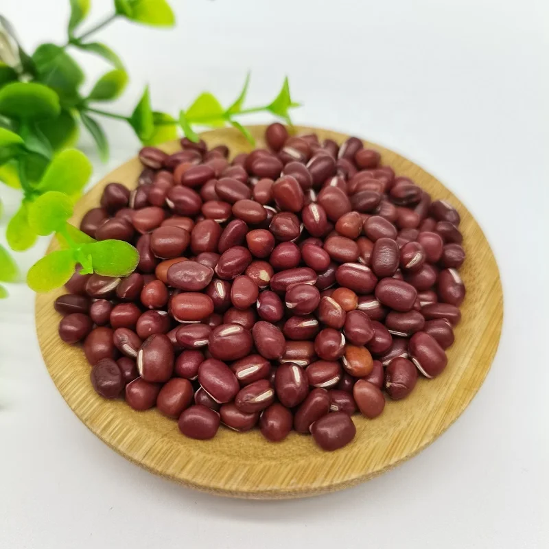  Красная каучуковая фасоль красного цвета экспортного класса маленькие красные адзуки фасоли Длинная