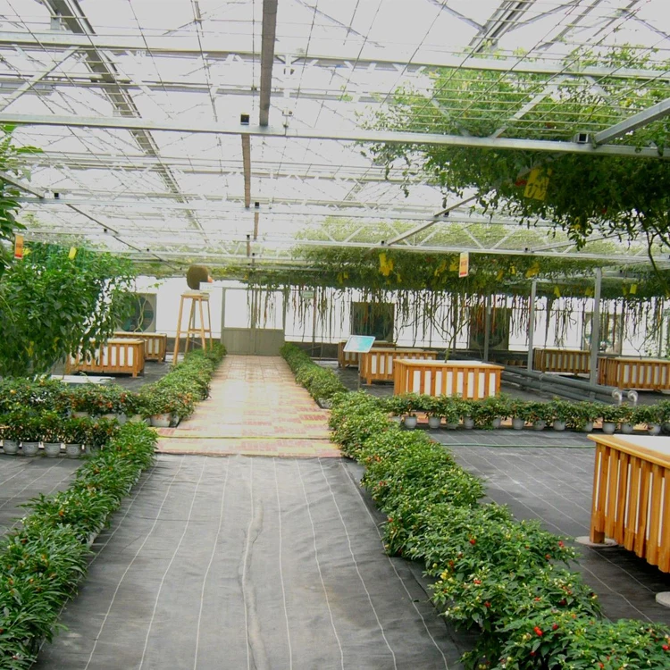 Greenhouse Garden Green House Outdoor Rainproof Plant Cover Backyard photovoltaic solar glass greenhouses