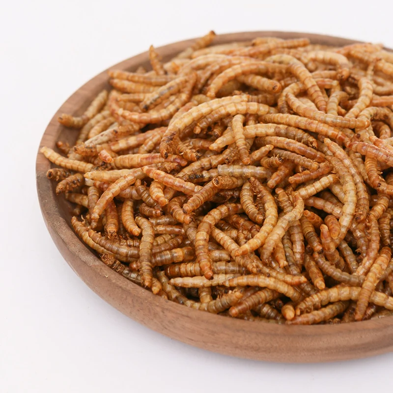 
Wholesale high-protein larvae rich in nutrient insect dried mealworm 