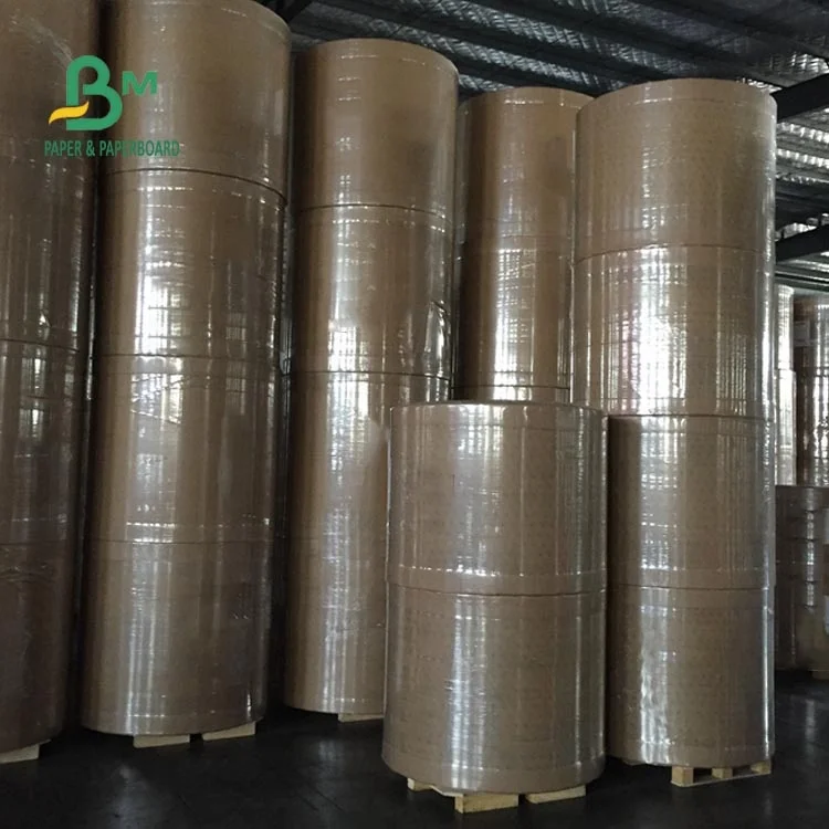 190gsm 210gsm Single PE Coated Cup Paper For Noodles Box Recyclable