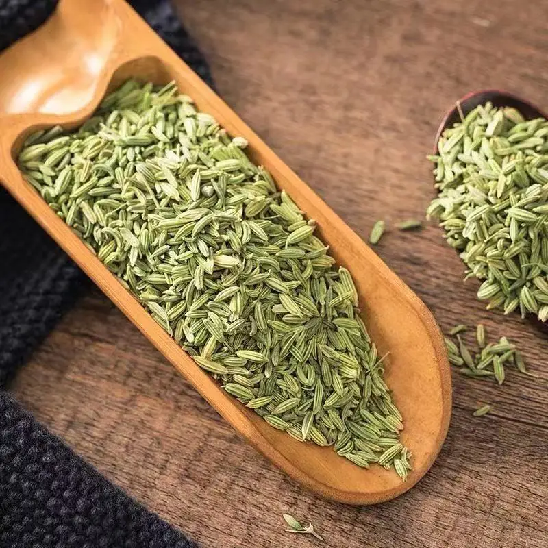 ZZH Top Grade Organic Fennel Seeds Wholesale Price 100% Natural Dehydrated Fennel Seeds Manufacturer