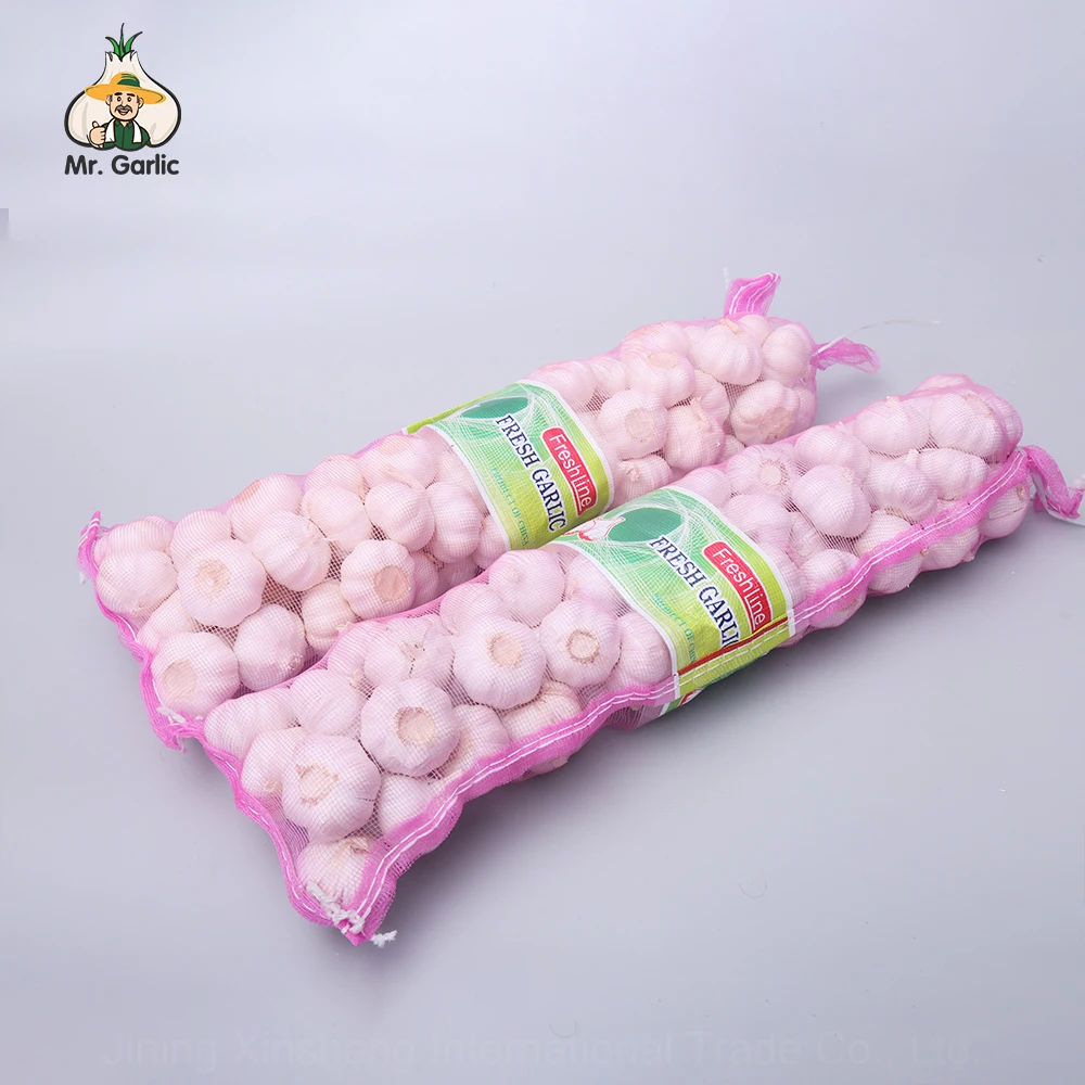 Low Price Wholesalenord Garlic Import From China Fresh Pure White Garlic