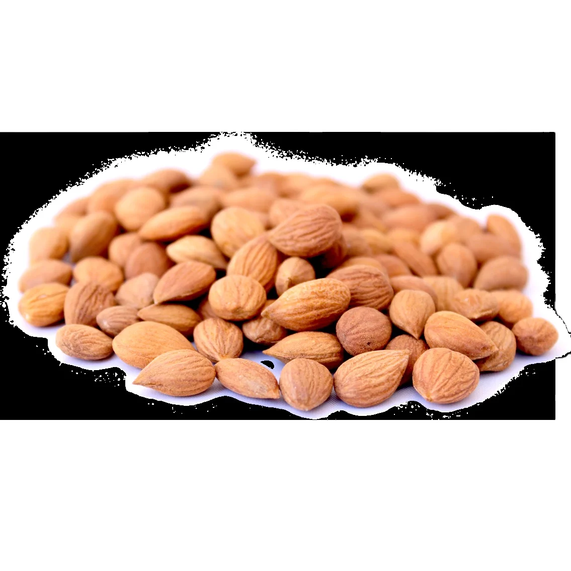 dried apricot turkish Sun Dried Apricots