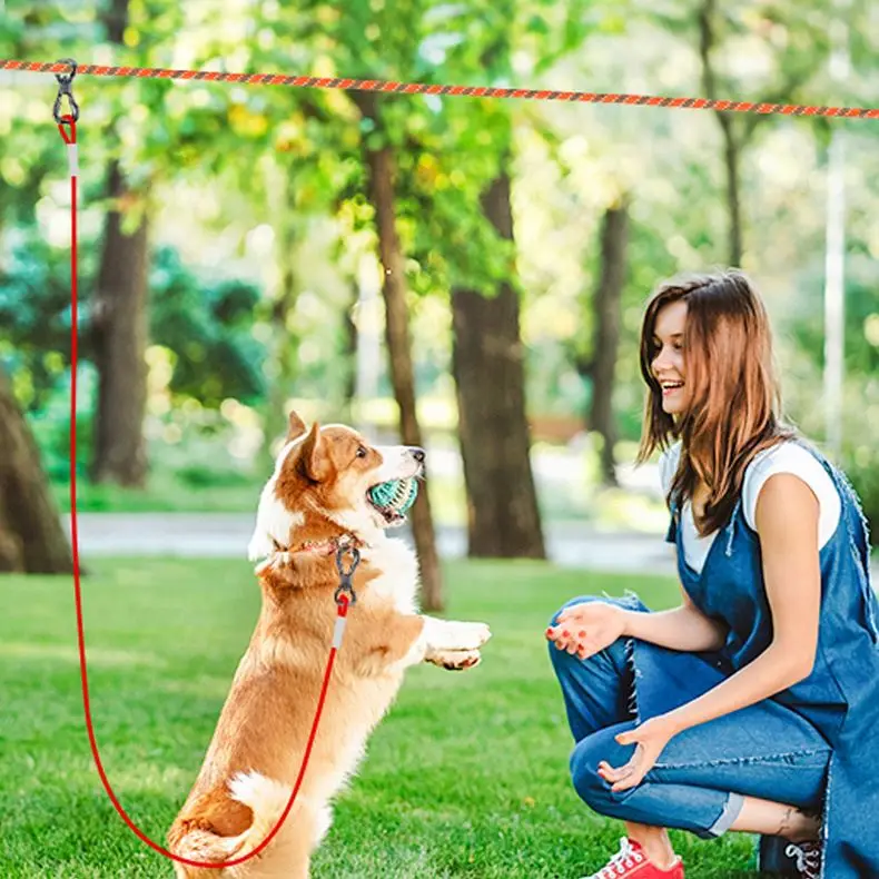 Strong Durable Nylon Dog Training Leash Traction Rope Feet Long 5/8 3/4 1 Inch Wide For Small And Medium Dogs