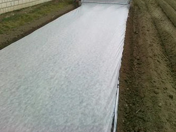 PP non woven weed mat eco-friendly cold-proof