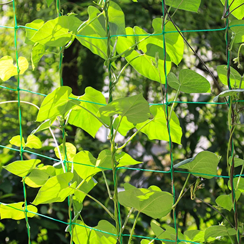 6 years service life New Design Professional Trellis Netting Pea HDPE Climbing Plant Mesh Flower Support Net