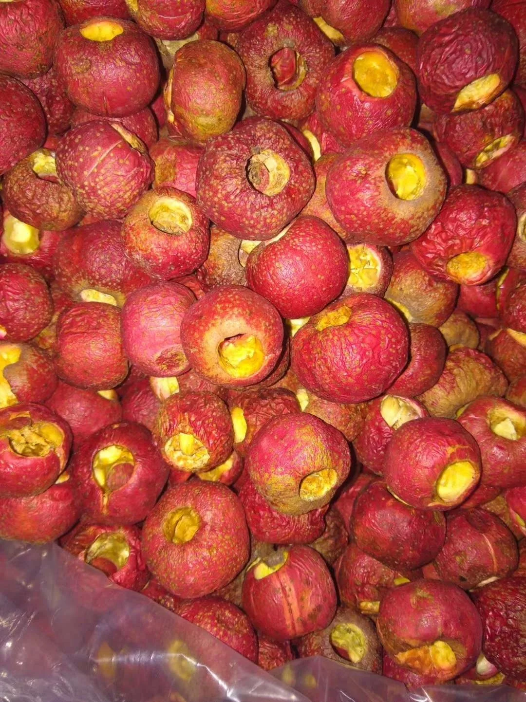 
New hand sorting pitted Hawthorn berry slice/natural food 