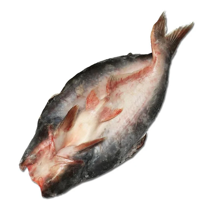 
frozen seafood frozen whole fresh Fish Frozen Basa fish vietnam 