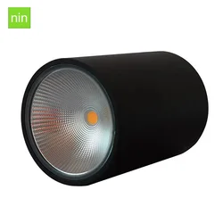 ip65 ceiling surface lamp 50w downlight for outdoor lighting