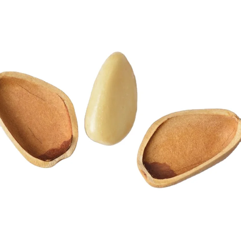 Dried Nut Raw Pine Nuts Kernels Red Pinenuts Cedar Pine Nut Kernel