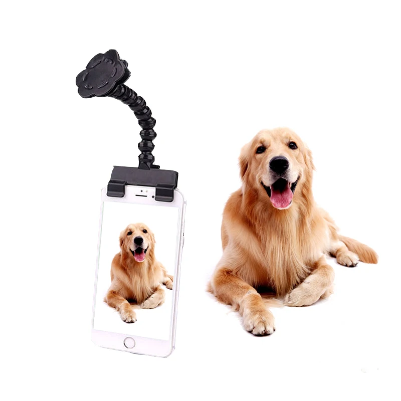 Latest Put Snack Camera Outdoor PET fit Most Smartphones Tablet Selfie Stick dog toy