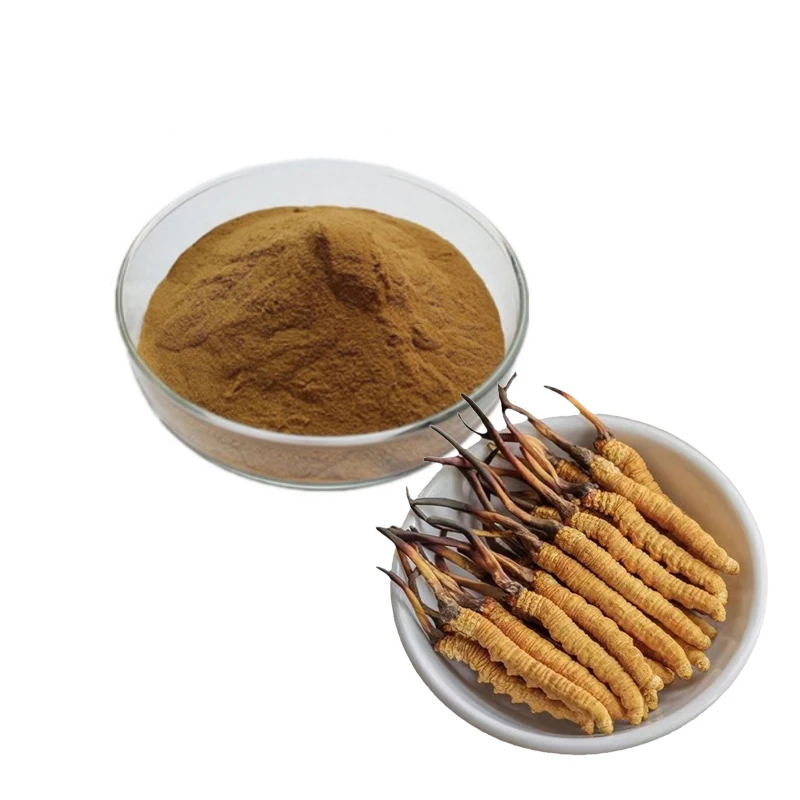Organic 10:1 Mushroom Ground Powder Health Cordycepin 1% Cordyceps Sinensis Extract Cordyceps Militaris Powder 1 Kg