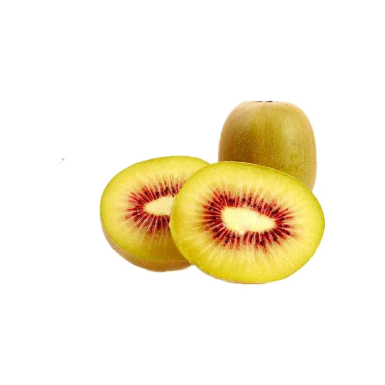 Premium A Grade High Quality Fresh Fruit Kiwi