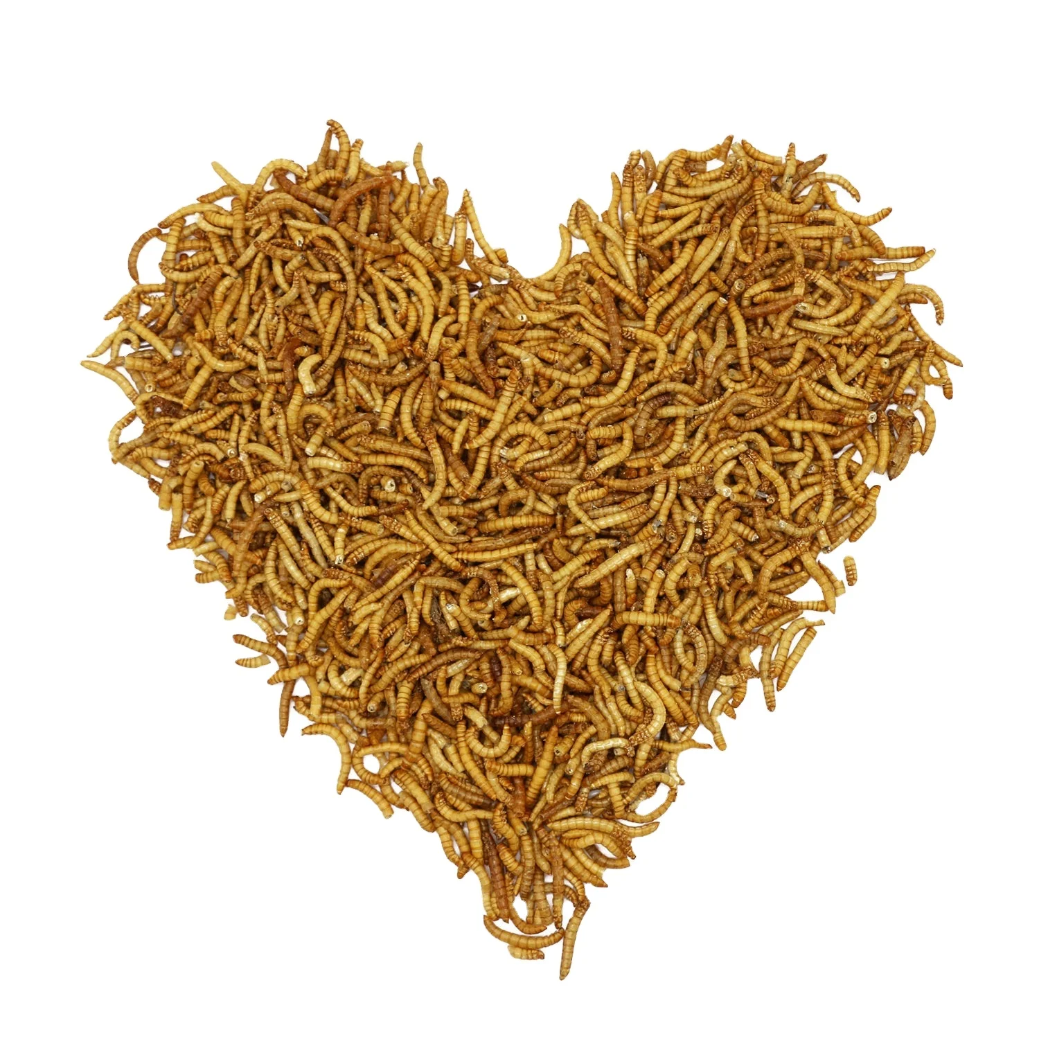 Dried Mealworms for Animal Food hamster snacks