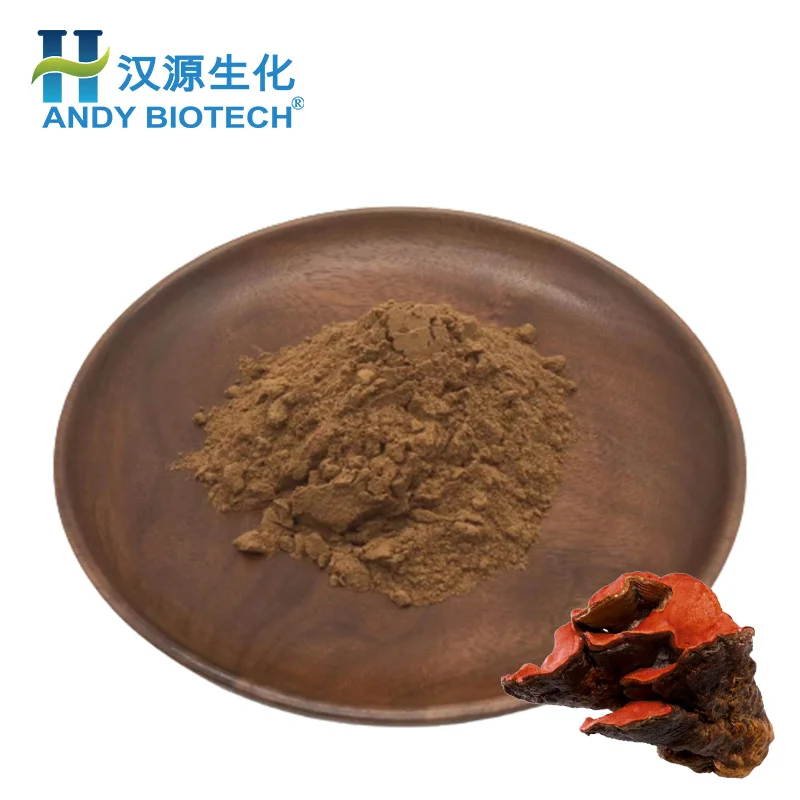 New Batch 20% Polysaccharides Powder Antrodia Cinnamomea Extract Antrodia Camphorata Mushroom Extract