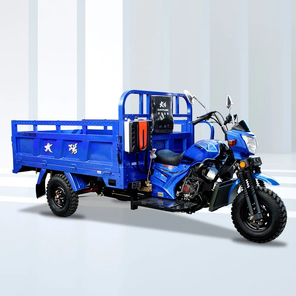 New Arrival Factory Selling 250cc Excellent Powerful Tricycle Cargo Engine Water Cooling Cargo Tricycle