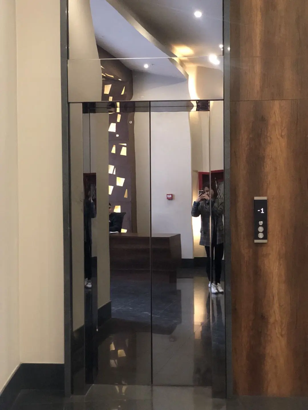 Modern Design 6 Passenger Elevator with Hydraulic and AC Drive Low-Priced Factory Product for Hotel and Residential Use